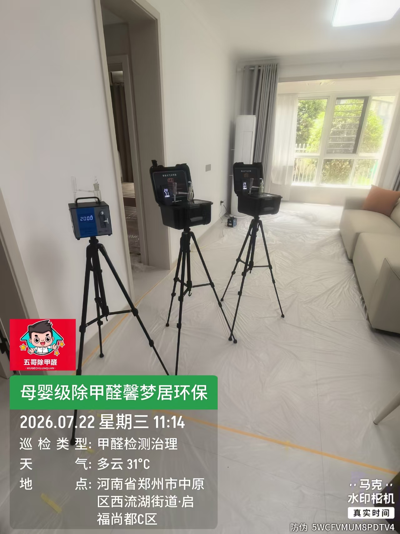 警惕！这些身体信号可能是甲醛中毒，郑州专业团队教你科学应对